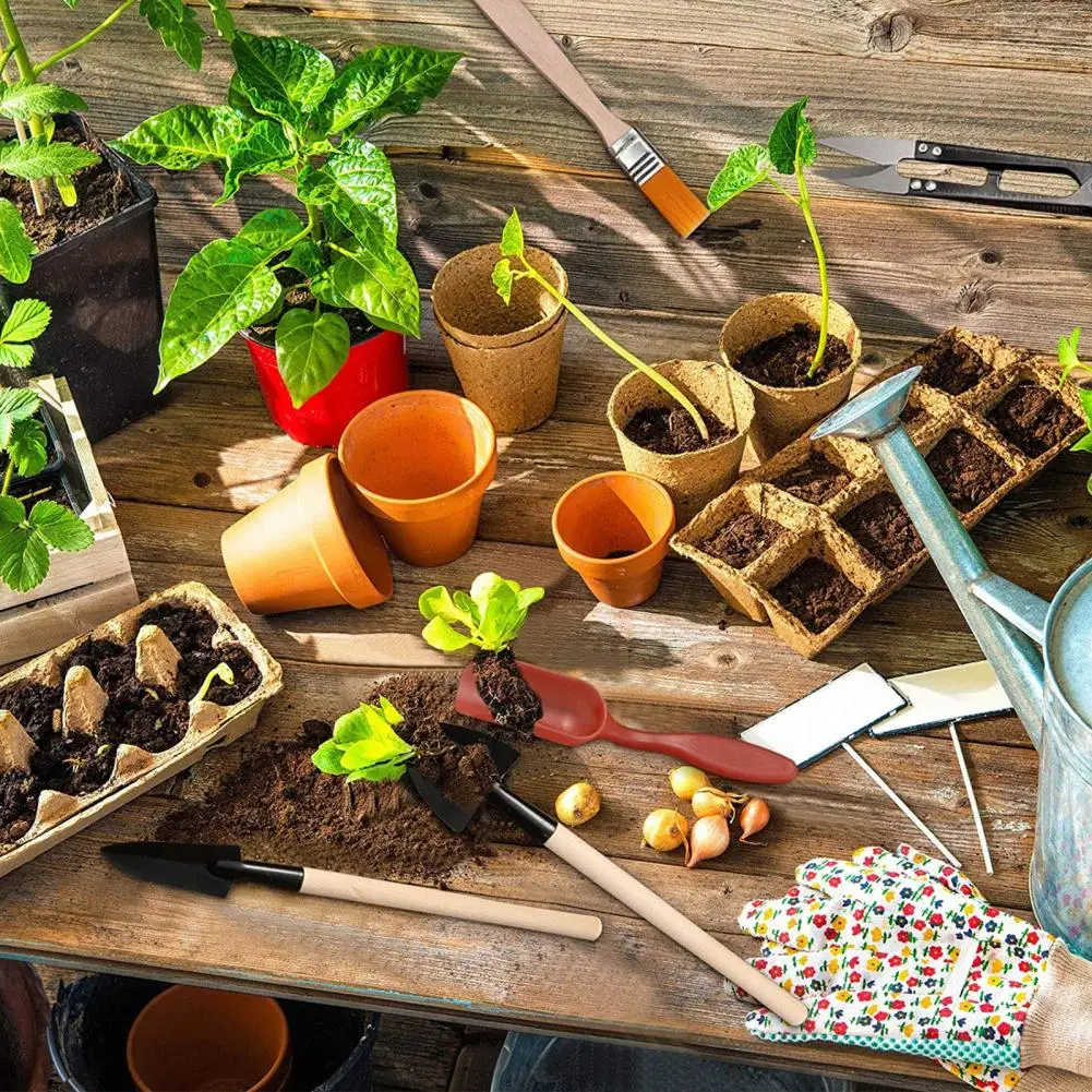 Gardening Tools Kit 1 Set Great High Strength Mini Succulent Plants Potted Plants Shovel Rake Spade for Garden
Gardening Tools Kit 1 Set Great High Strength Mini Succulent Plants Potted Plants Shovel Rake Spade for Garden