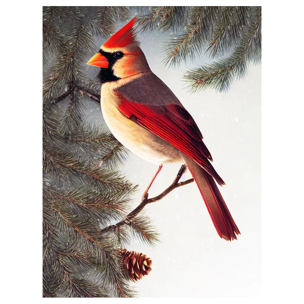 5D Hot Sale Diamond Painting New product handwork Christmas Cardinal Bird Cross stitch Living Room and Bedroom Decorative Gift
5D Hot Sale Diamond Painting New product handwork Christmas Cardinal Bird Cross stitch Living Room and Bedroom Decorative Gift