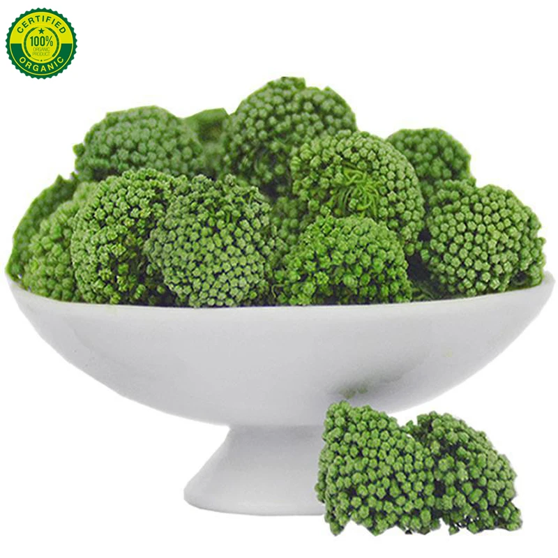 1000g Sanchi Notoginseng Flower Beauty High Health Beauty Anti Skin Care San Qi Hua Buds/Panax Notoginseng Flower
1000g Sanchi Notoginseng Flower Beauty High Health Beauty Anti Skin Care San Qi Hua Buds/Panax Notoginseng Flower