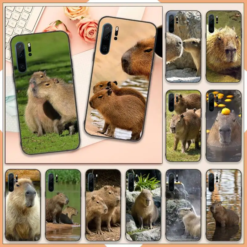 Minoru Tanaka Death Note Phone Case For Huawei honor Mate 10 20 30 40 i 9 8 pro x Lite P smart 2019 Y5 2018 nova 5t
Minoru Tanaka Death Note Phone Case For Huawei honor Mate 10 20 30 40 i 9 8 pro x Lite P smart 2019 Y5 2018 nova 5t