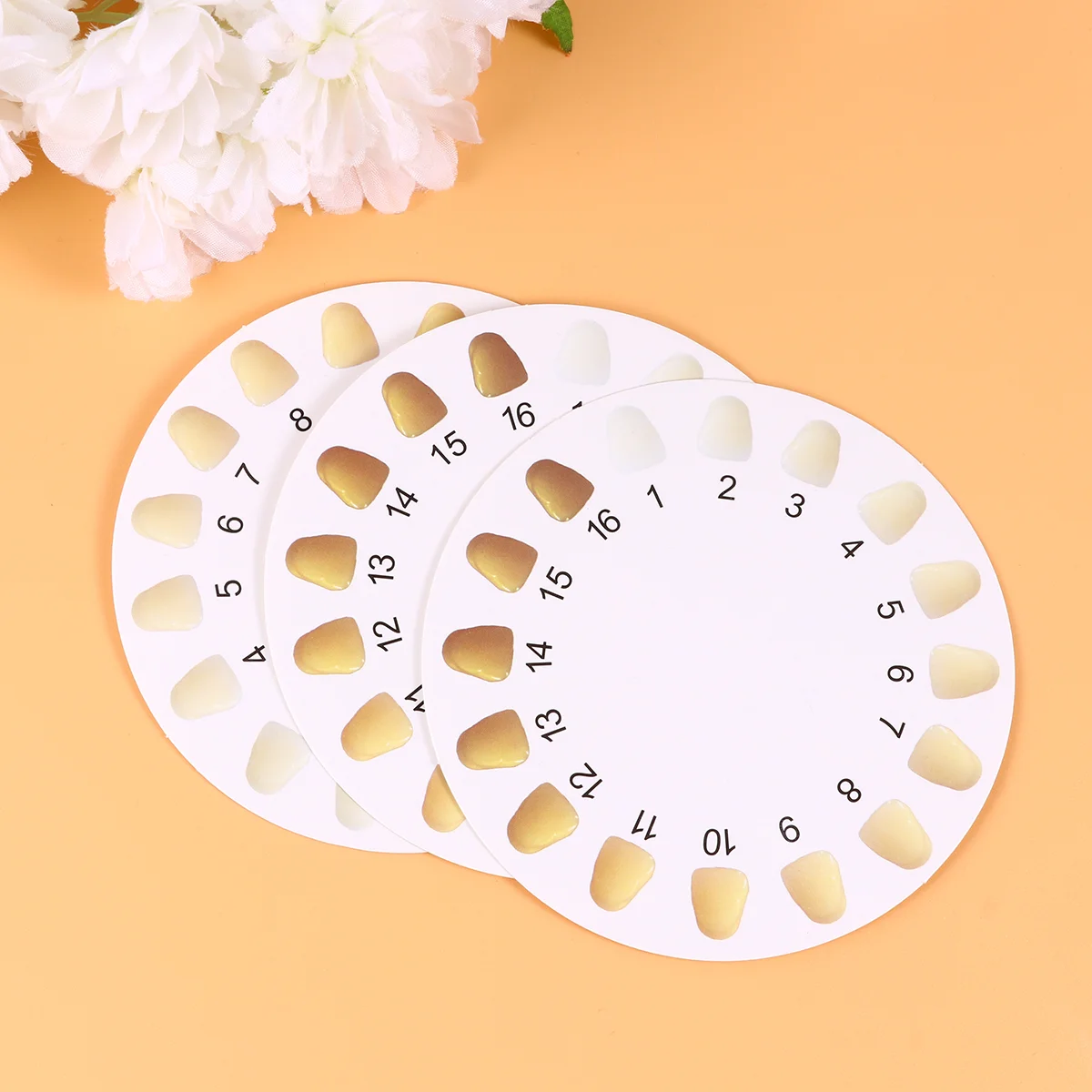 20pcs Color Comparing Charts Round Shape Bleaching Color Shade Guide Color Cards for Home Clinic
20pcs Color Comparing Charts Round Shape Bleaching Color Shade Guide Color Cards for Home Clinic