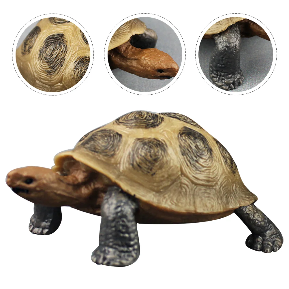 Simulation Turtle Plastic Ocean Animals Land Figurine Sculpture Tortoise Model Kid Toy
Simulation Turtle Plastic Ocean Animals Land Figurine Sculpture Tortoise Model Kid Toy