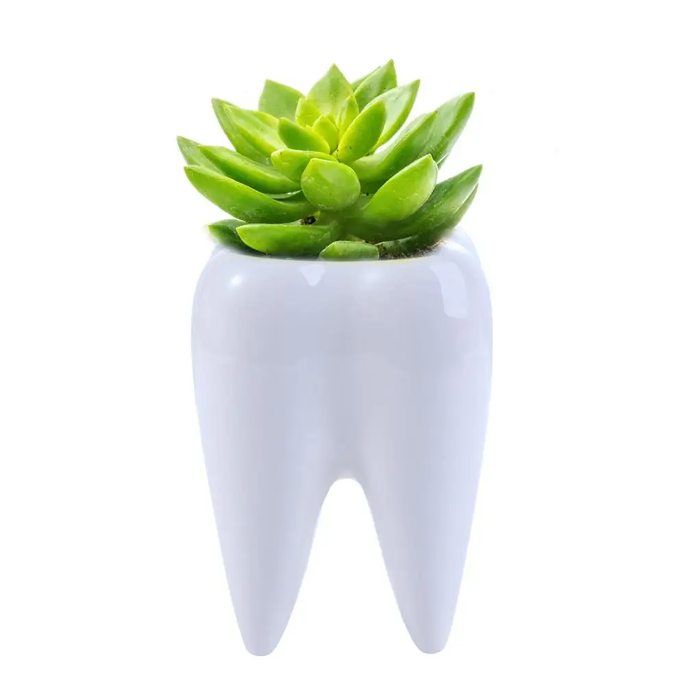 Керамический милый домашний декор для гостиной, цветочный горшок, контейнер для растений, настольное украшение, горшок для растений
Керамический милый домашний декор для гостиной, цветочный горшок, контейнер для растений, настольное украшение, горшок для растений