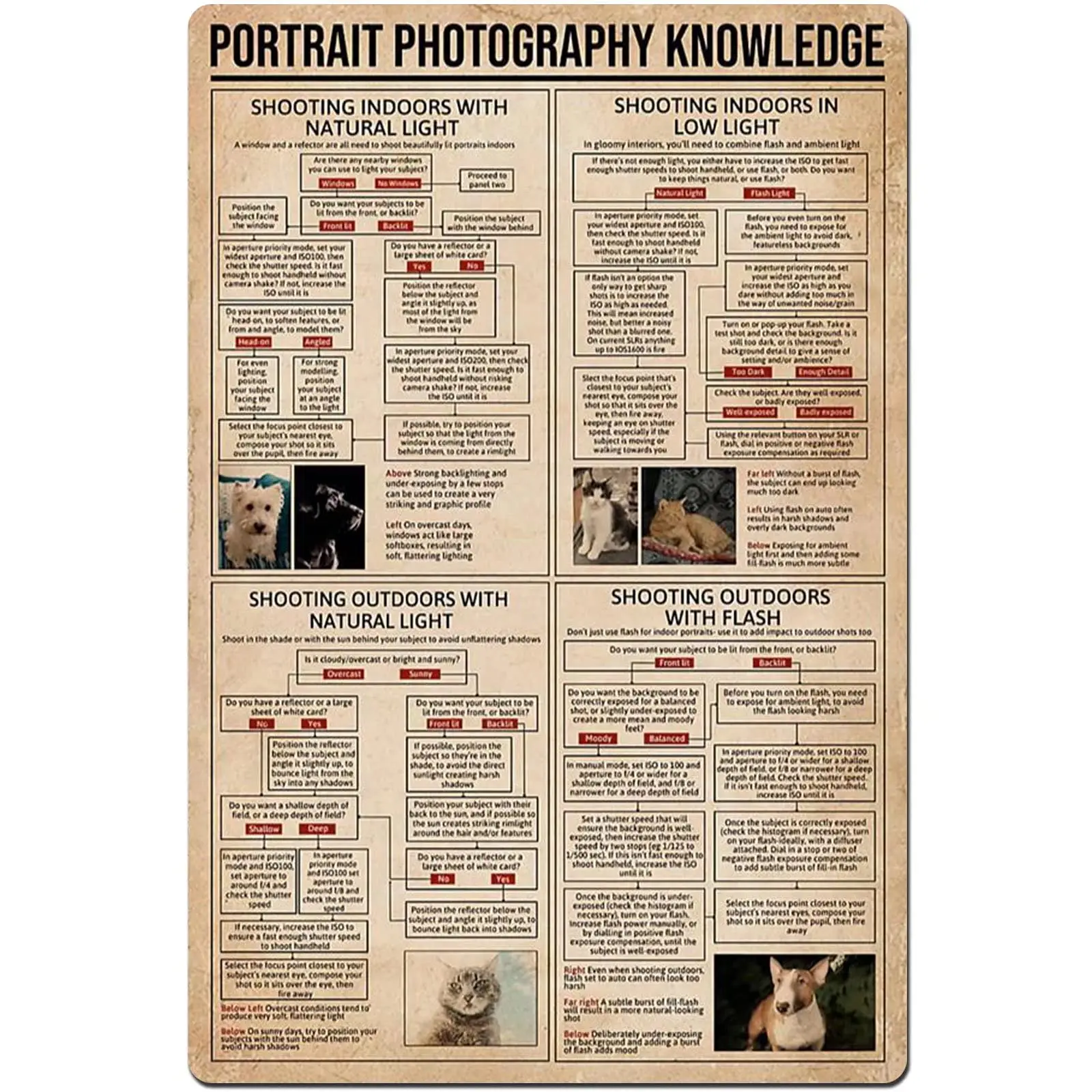 Metal Sign Portrait Photography Knowledge Tin Poster Photographer Beginner Infographic School Education Club Home Bedroom Wall
Metal Sign Portrait Photography Knowledge Tin Poster Photographer Beginner Infographic School Education Club Home Bedroom Wall