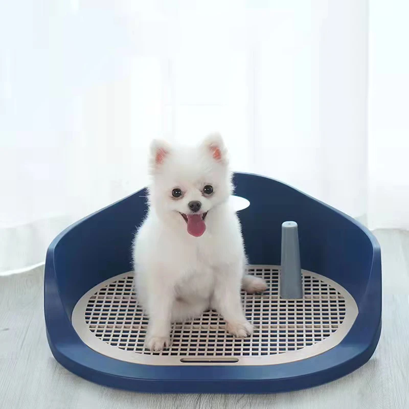 Underpad for Dogs Underpad for Dogs Toilet for Dogs Toilet for Dogs Tray for Dogs Tray for Dogs Dog Pet Supplies Products Home
Underpad for Dogs Underpad for Dogs Toilet for Dogs Toilet for Dogs Tray for Dogs Tray for Dogs Dog Pet Supplies Products Home