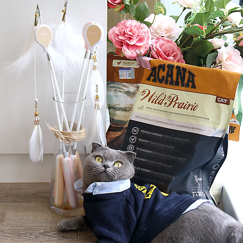 Телескопическая игрушка для кошек
Телескопическая игрушка для кошек