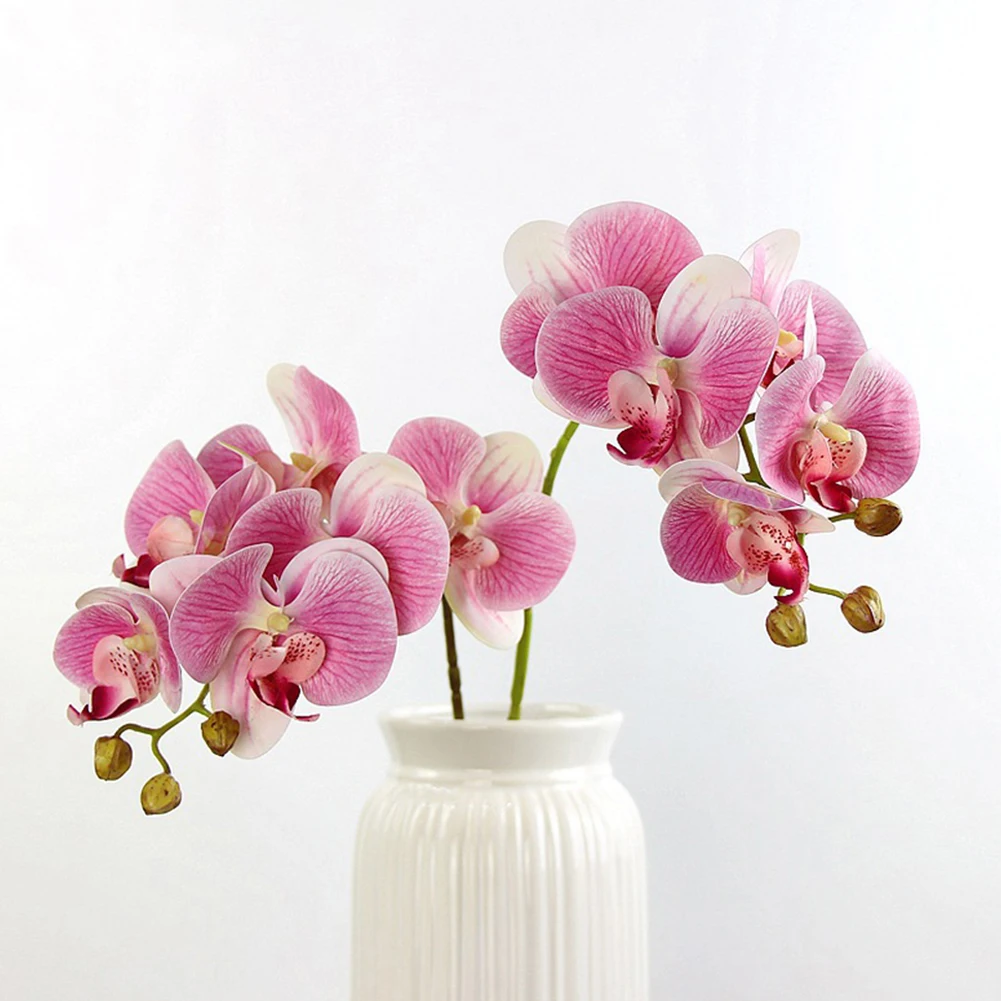 Artificial Flowers Single Eight Flower Film Phalaenopsis Orchid Decoration Simulation Flower For Wedding Home Festival Decor
Artificial Flowers Single Eight Flower Film Phalaenopsis Orchid Decoration Simulation Flower For Wedding Home Festival Decor