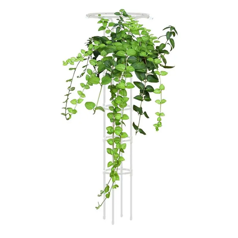 Vine Climbing Rack Steel Garden Plant Support Stake Stand Flower Plant Trellis Support Frame Garden Decor Plant Accessories
Vine Climbing Rack Steel Garden Plant Support Stake Stand Flower Plant Trellis Support Frame Garden Decor Plant Accessories
