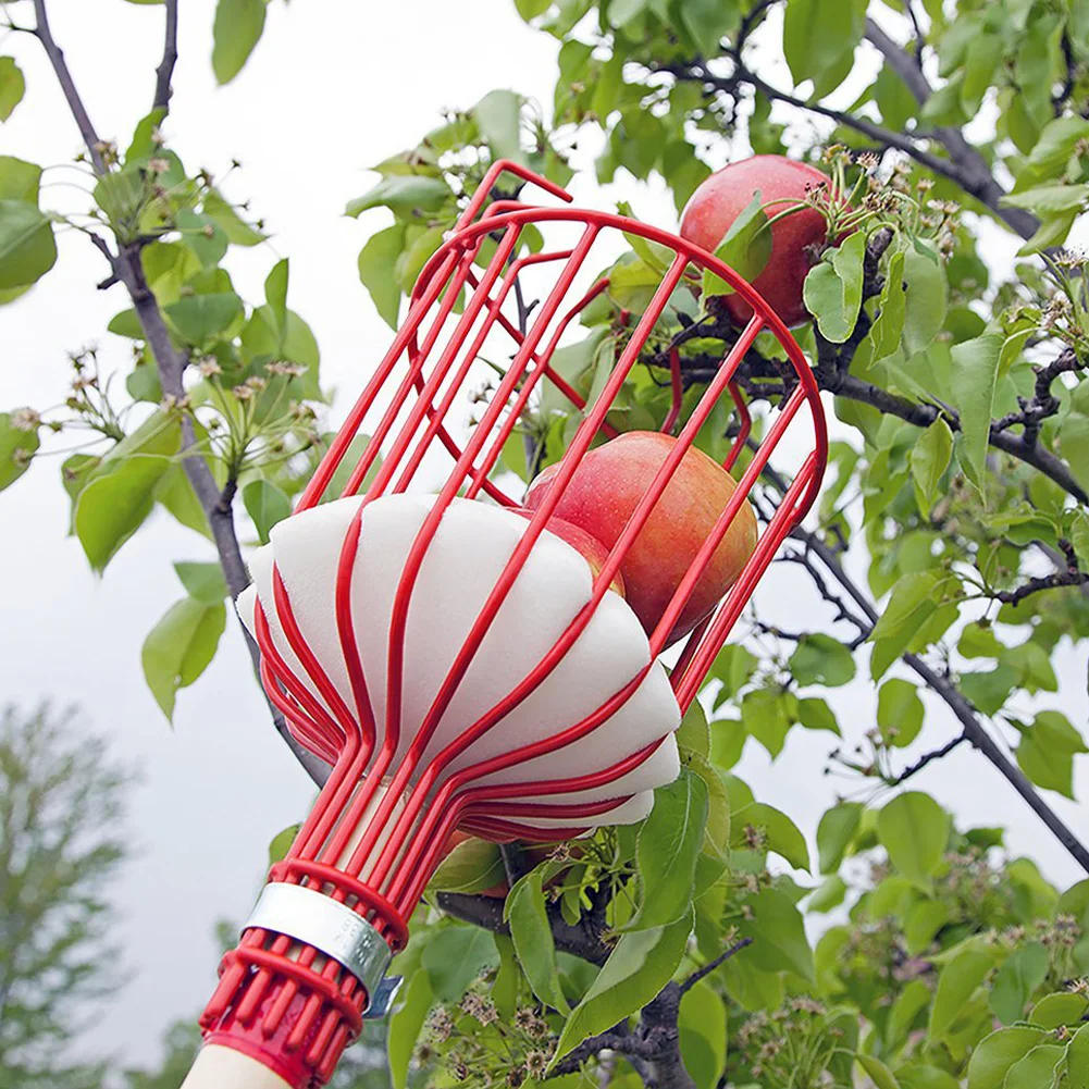 2023New Detachable Farm Garden Tools Fruit Picker Head Carbon Steel Gardening Greenhouse Fruit Collection Picking Catcher Device
2023New Detachable Farm Garden Tools Fruit Picker Head Carbon Steel Gardening Greenhouse Fruit Collection Picking Catcher Device
