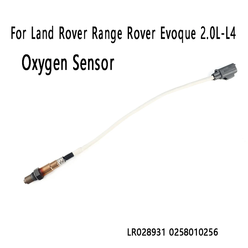 Oxygen Sensor Air Fuel Oxygen Sensor LR028931 0258010256 for Land Rover Range Rover Evoque 2.0L-L4
Oxygen Sensor Air Fuel Oxygen Sensor LR028931 0258010256 for Land Rover Range Rover Evoque 2.0L-L4