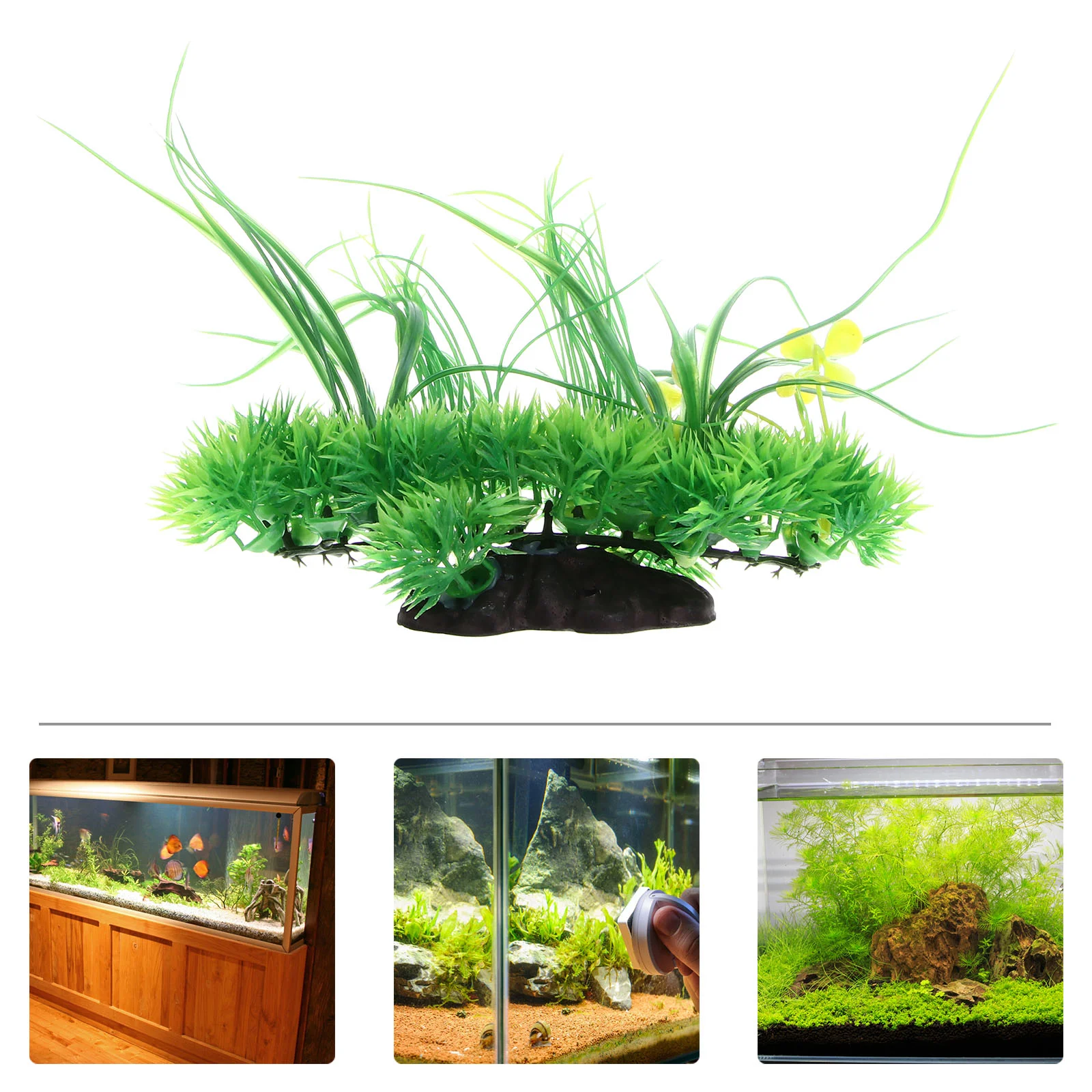 Artificial Tank Decorations Fake Water Aquarium Aquatic Accessories Dragon Reptile Bearded Room Hanging Wall Vines Decor Décor
Artificial Tank Decorations Fake Water Aquarium Aquatic Accessories Dragon Reptile Bearded Room Hanging Wall Vines Decor Décor