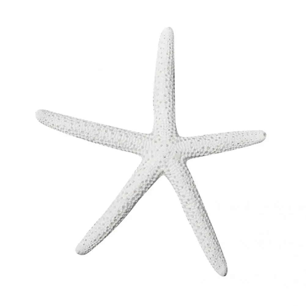 Fake Starfish Decoration Artificial Resin Resin Starfish Ornament Fake Starfish Artificial Starfish
Fake Starfish Decoration Artificial Resin Resin Starfish Ornament Fake Starfish Artificial Starfish