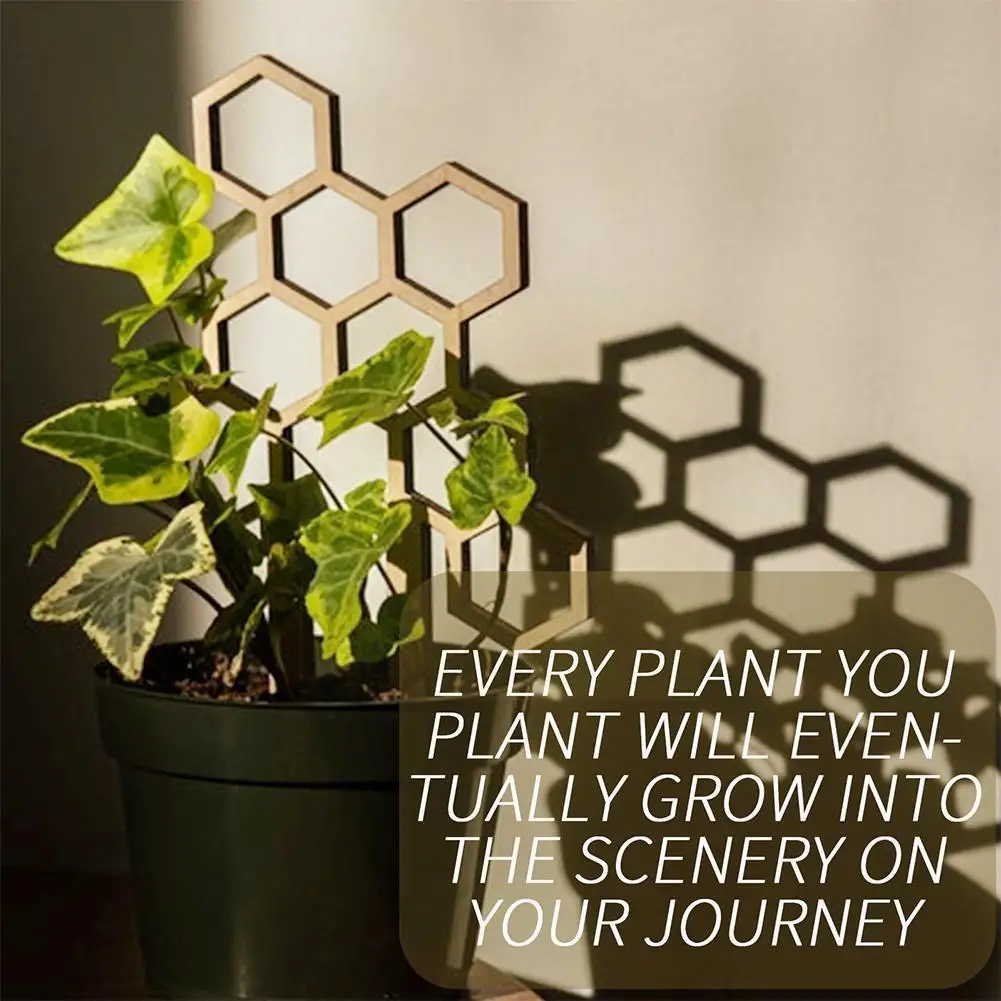 Рамка для скалолазания в горшке, деревянный держатель для растений, клубничный инструмент, опорная рама, садовая подставка, Цветочный горше...
Рамка для скалолазания в горшке, деревянный держатель для растений, клубничный инструмент, опорная рама, садовая подставка, Цветочный горше...