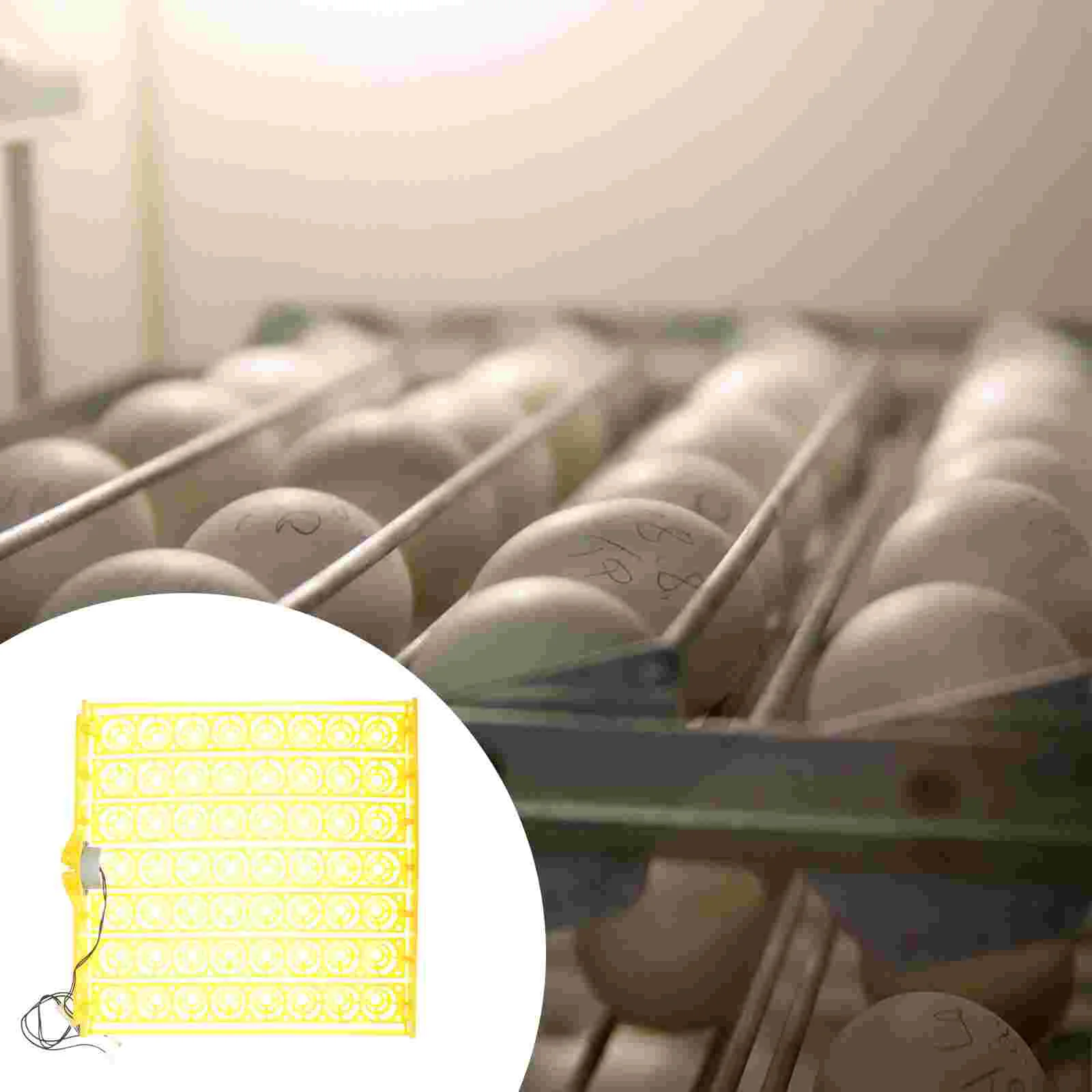 Incubator Egg Tray Turner Chicken Automatic Hatcher Eggs Hatching Supplies Turningfactory Accessory Auto Mini Bird Home Trays
Incubator Egg Tray Turner Chicken Automatic Hatcher Eggs Hatching Supplies Turningfactory Accessory Auto Mini Bird Home Trays