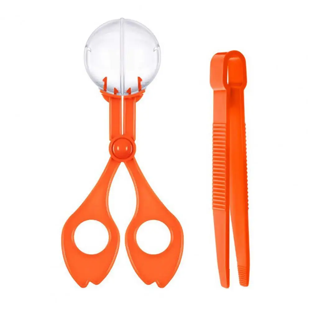 Nature Exploration Toy Skill Development Hand-eye Coordination Smell-less Plastic Scissor Clamp Small Animal Tweezers Scoopers f
Nature Exploration Toy Skill Development Hand-eye Coordination Smell-less Plastic Scissor Clamp Small Animal Tweezers Scoopers f