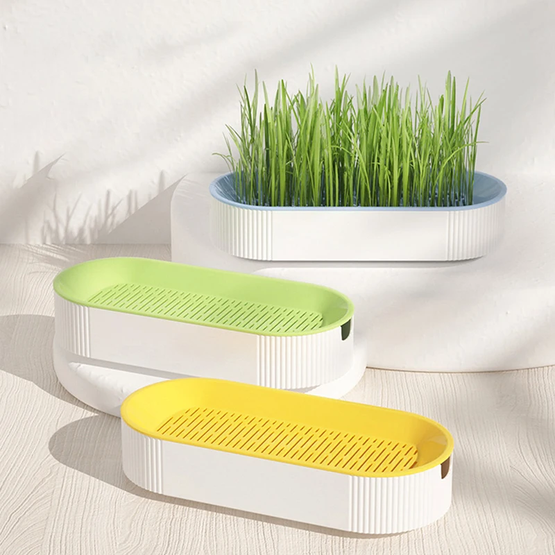 1Set Pet Cat Sprout Dish Growing Pot Hydroponic Plant Cat Grass Germination Digestion Starter Dish Grow Box Soilless Planting Po
1Set Pet Cat Sprout Dish Growing Pot Hydroponic Plant Cat Grass Germination Digestion Starter Dish Grow Box Soilless Planting Po