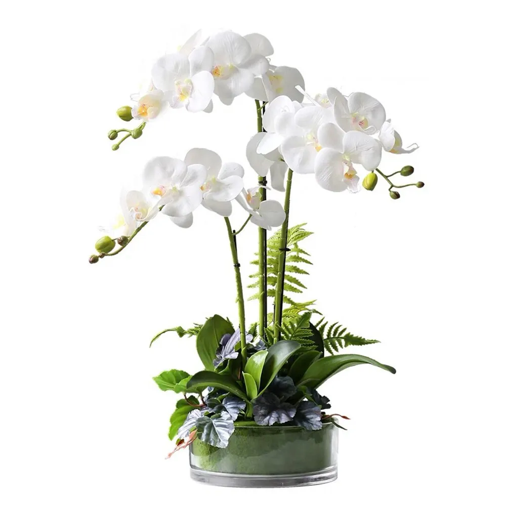 Butterfly Orchid White Phalaenopsis Branch 72CM Real Touch Plastic Petals Wedding Office Table Decoration -INDIGO
Butterfly Orchid White Phalaenopsis Branch 72CM Real Touch Plastic Petals Wedding Office Table Decoration -INDIGO