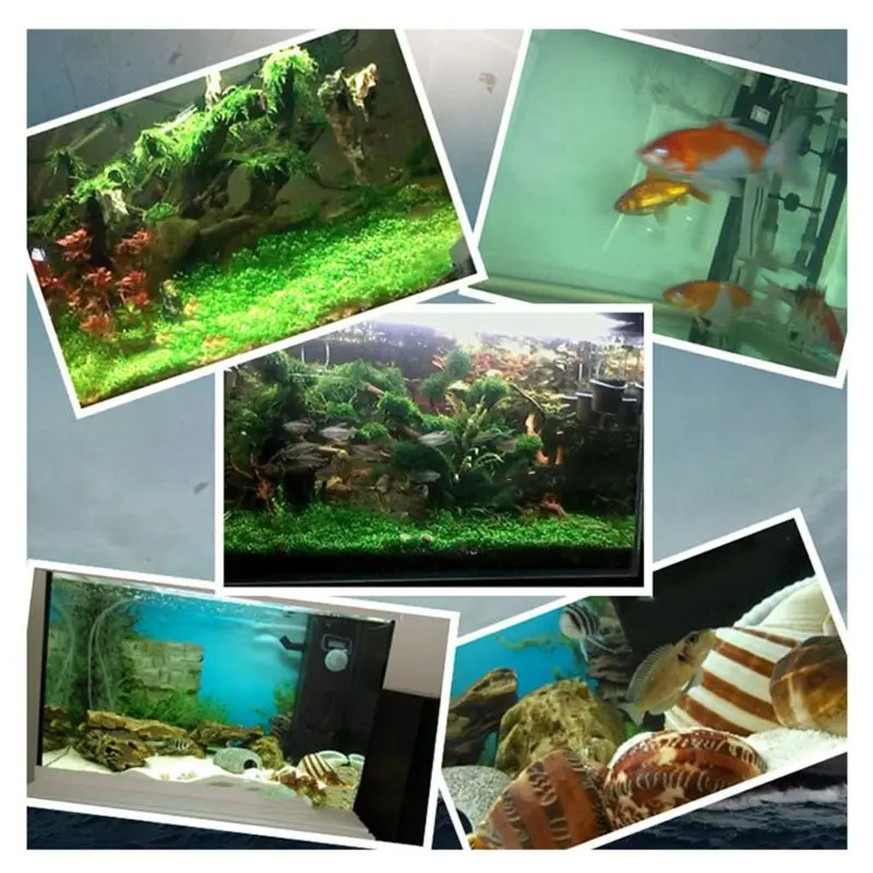 Aquarium Nitrifying Super Concentrated Fish for Tank Pond Cleaning Water Purifier Supplies
Aquarium Nitrifying Super Concentrated Fish for Tank Pond Cleaning Water Purifier Supplies