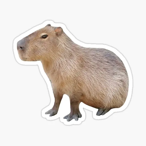 Sitting Capybara 5PCS Stickers for Cute Water Bottles Decorations Home Stickers Anime Laptop Funny Decor Window Wall
Sitting Capybara 5PCS Stickers for Cute Water Bottles Decorations Home Stickers Anime Laptop Funny Decor Window Wall