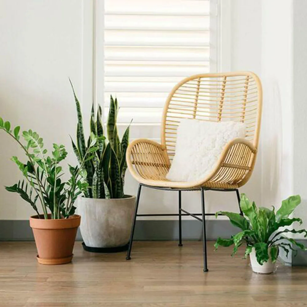 Flower Pot Mat Garden Plant Saucer Drip Tray Round Flower Pot Base Plastic Clear SnackContainer DesktopTrash Storage Pot Trays
Flower Pot Mat Garden Plant Saucer Drip Tray Round Flower Pot Base Plastic Clear SnackContainer DesktopTrash Storage Pot Trays