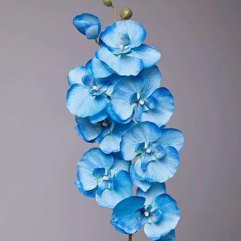 Искусственная орхидея фаленопсис 1 шт.
Искусственная орхидея фаленопсис 1 шт.