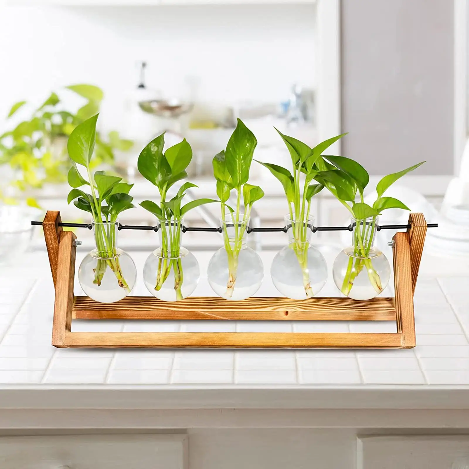 Bulb Hydroponic Plant Vase Terrarium Flower Pot Indoor Outdoor Decoration 
Bulb Hydroponic Plant Vase Terrarium Flower Pot Indoor Outdoor Decoration