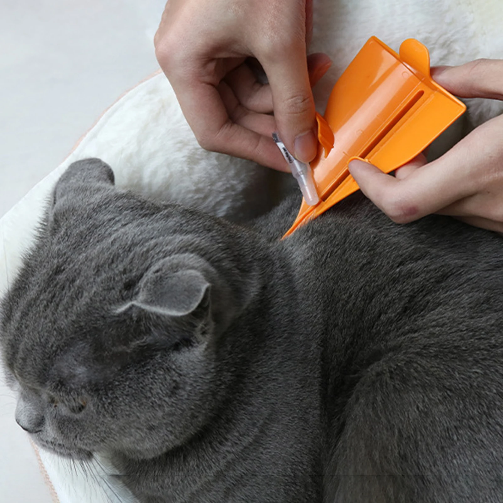New Dog Kitten Puppy Tick Worm Meds Dripping Assistance Tool Flea Drops For Cats Triangle Help To Drip Prevention Pet Supplies
New Dog Kitten Puppy Tick Worm Meds Dripping Assistance Tool Flea Drops For Cats Triangle Help To Drip Prevention Pet Supplies
