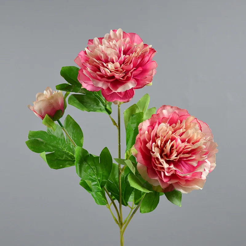 3 peaches and peonies Nordic style home decoration simulation flowers wholesale wedding ceiling silk flowers simulation peonies
3 peaches and peonies Nordic style home decoration simulation flowers wholesale wedding ceiling silk flowers simulation peonies