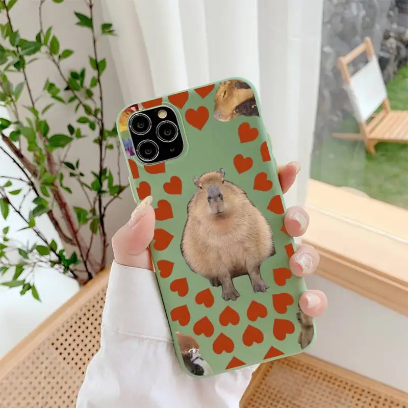 Capybara Cute animal Phone Case for iPhone 11 12 13 Mini Pro Xs Max 8 7 6 6S Plus X XR Solid Candy Color Case
Capybara Cute animal Phone Case for iPhone 11 12 13 Mini Pro Xs Max 8 7 6 6S Plus X XR Solid Candy Color Case