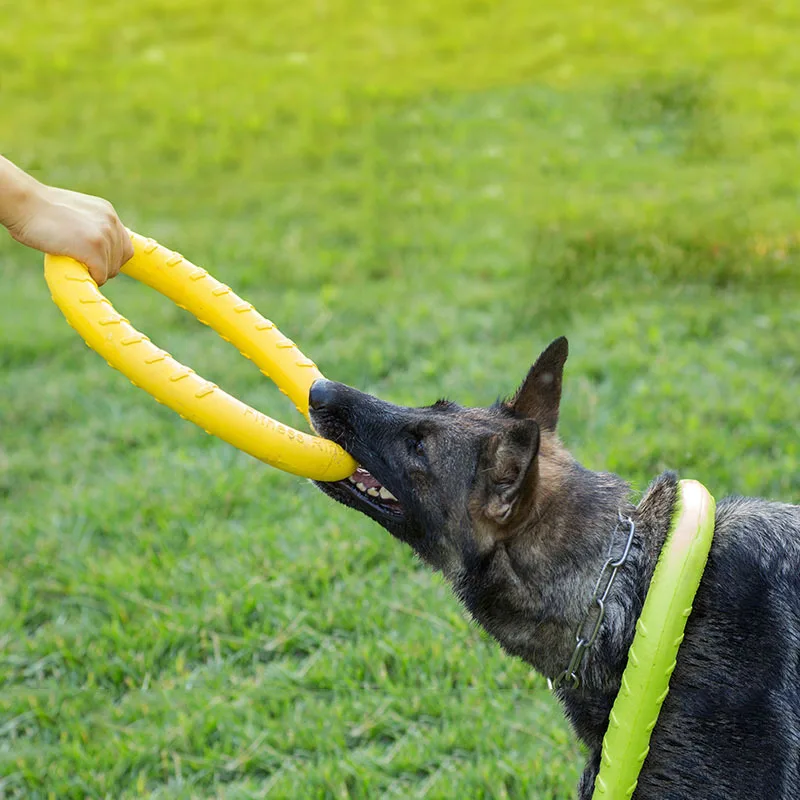 Pet Flying Discs EVA Dog Training Ring Puller Resistant Bite Floating Toy Puppy Outdoor Interactive Game Playing Products Supply
Pet Flying Discs EVA Dog Training Ring Puller Resistant Bite Floating Toy Puppy Outdoor Interactive Game Playing Products Supply
