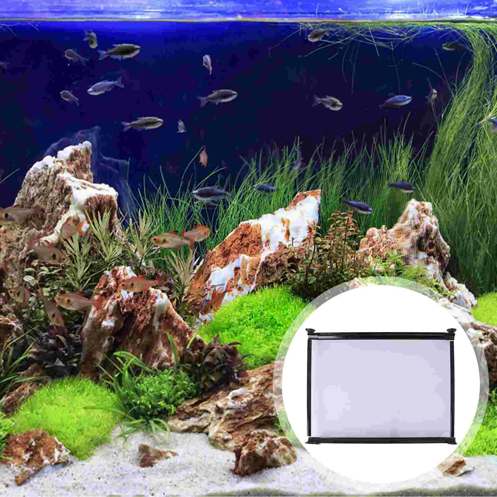 Divider Tank Aquarium Filter Suction Separator Cup Crate Gallon Isolation Board Tray Egg Diffuser Light Cover Betta Grid Panels
Divider Tank Aquarium Filter Suction Separator Cup Crate Gallon Isolation Board Tray Egg Diffuser Light Cover Betta Grid Panels