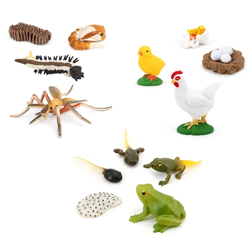 13Pcs Life Cycle Figures Of Frog, Mosquito, Chicken Plastic Realistic Animal Model,Educational Toy Science Toys
13Pcs Life Cycle Figures Of Frog, Mosquito, Chicken Plastic Realistic Animal Model,Educational Toy Science Toys