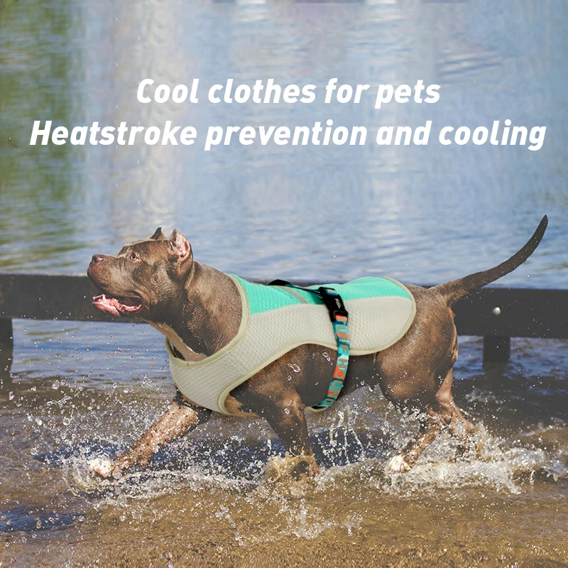 Summer Dog Cooling Vest Harness Soft Breathable Pet Reflective Cooling Clothes Pet Sunscreen Vest For Medium Large Dogs Clothing
Summer Dog Cooling Vest Harness Soft Breathable Pet Reflective Cooling Clothes Pet Sunscreen Vest For Medium Large Dogs Clothing