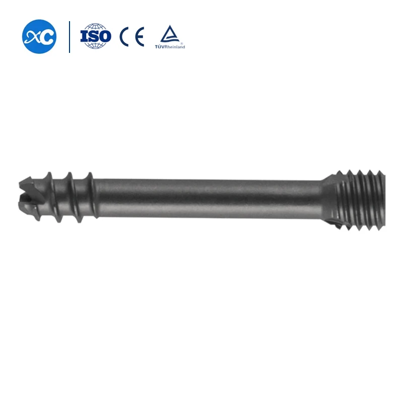 Competitive Price Titanium Trauma Plate Screw Headless Compression Screws Orthopedic Surgical Cannulated Screw
Competitive Price Titanium Trauma Plate Screw Headless Compression Screws Orthopedic Surgical Cannulated Screw