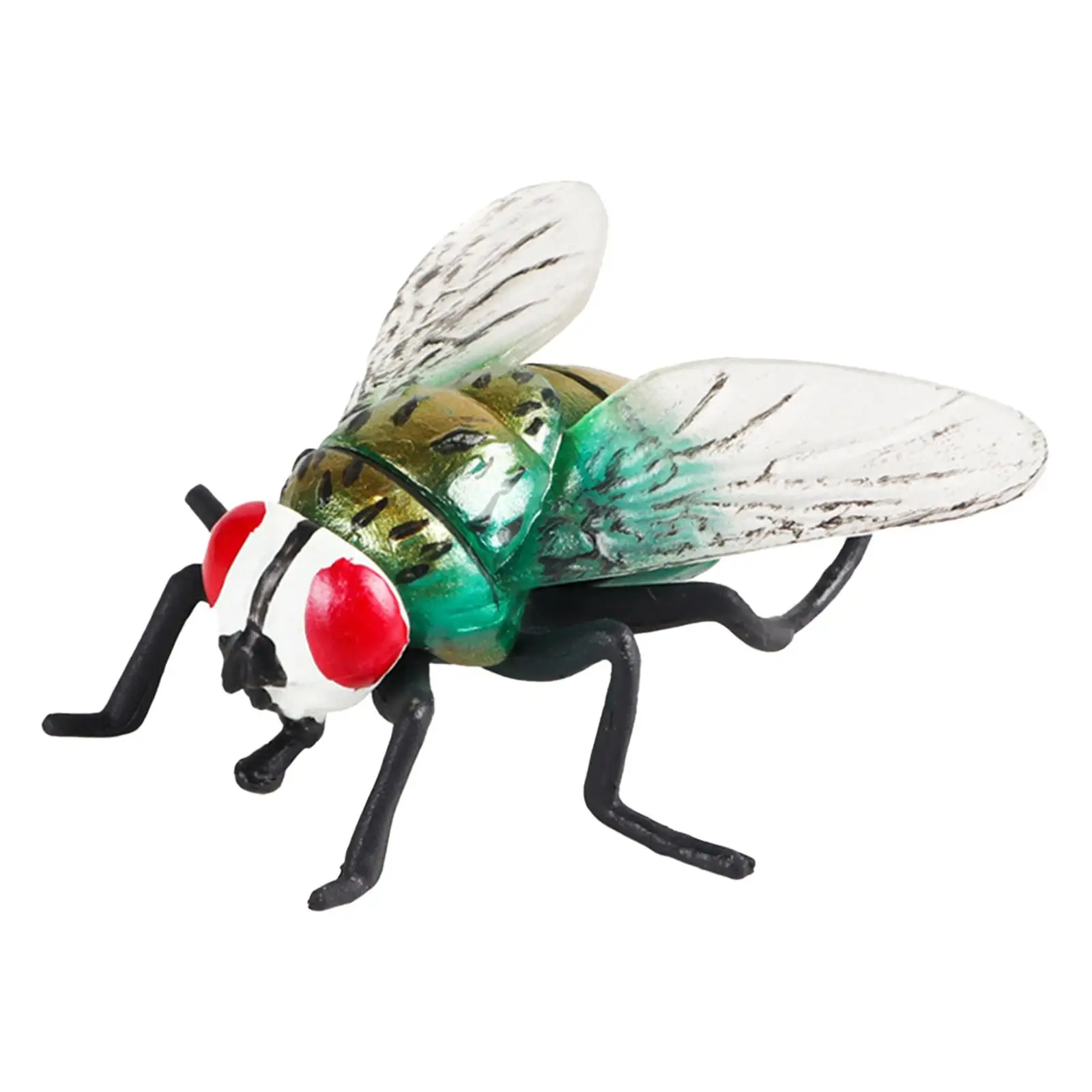 Realistic Fly Toys Cognition Educational Toy Photography Props Toy Props Collection for Toddlers Children Kids Girls Boy
Realistic Fly Toys Cognition Educational Toy Photography Props Toy Props Collection for Toddlers Children Kids Girls Boy