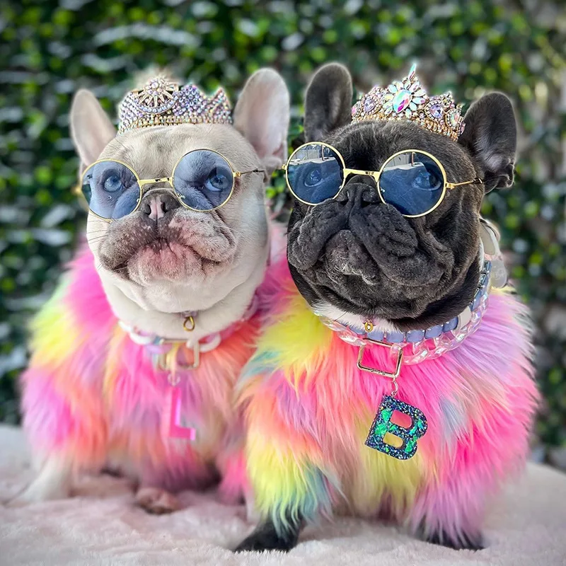 Dog Clothes Rainbow Fur Pullover Sweater French Bulldog Thickened Fashion Pet Coat Pet Clothes
Dog Clothes Rainbow Fur Pullover Sweater French Bulldog Thickened Fashion Pet Coat Pet Clothes