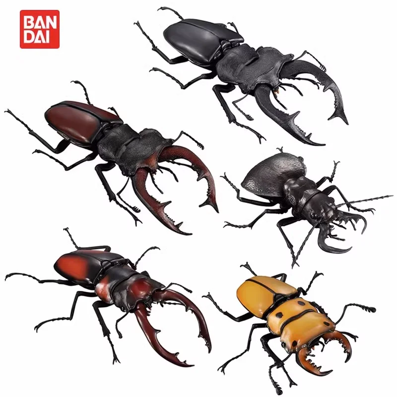 Gashapon Capsule Toy Miniature Biographical Atlas Insect Beetle Lucanidae Unicorn Beetle Figures Doll Model Table Ornaments Gift
Gashapon Capsule Toy Miniature Biographical Atlas Insect Beetle Lucanidae Unicorn Beetle Figures Doll Model Table Ornaments Gift