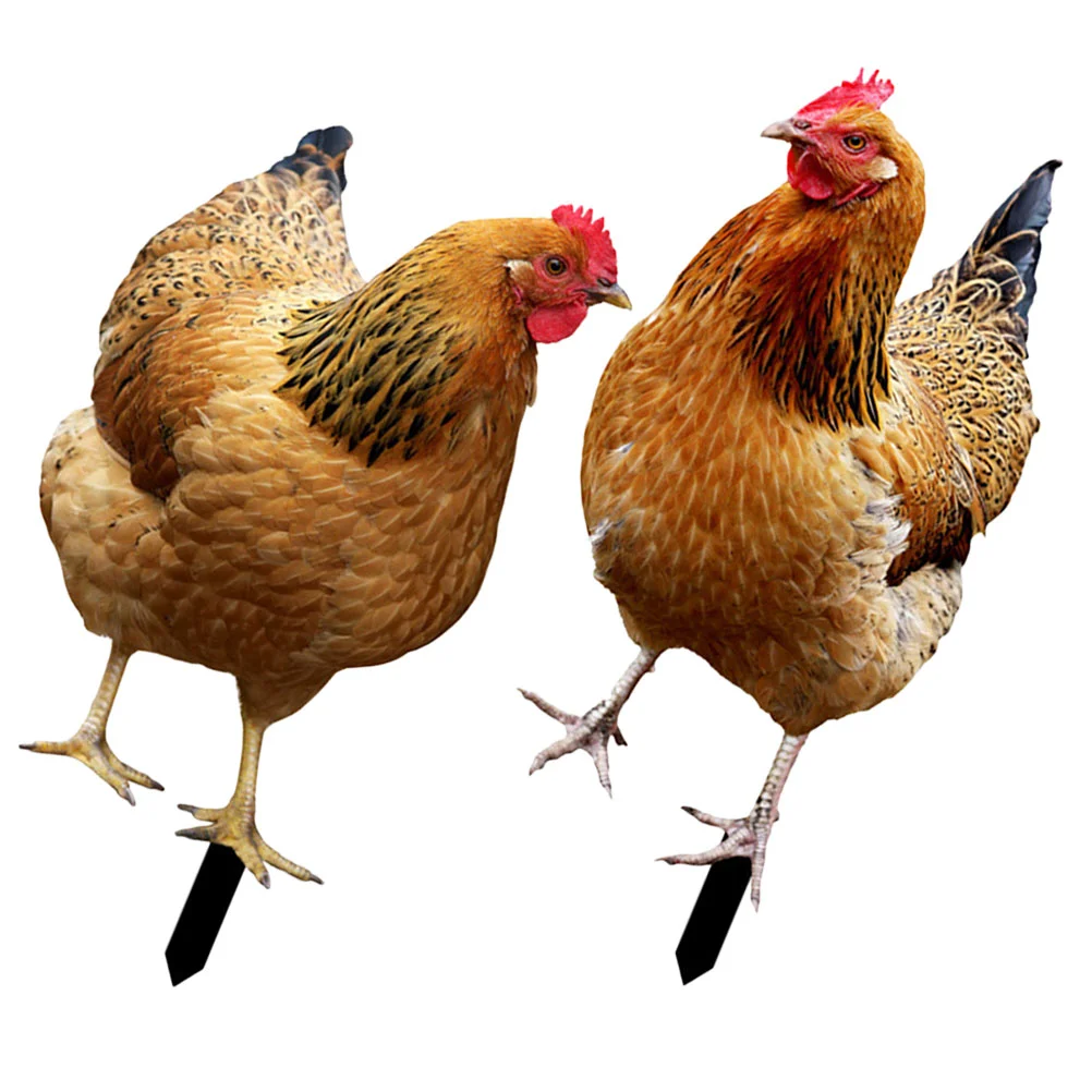 2Pcs Sign Stake Garden Chicken Yard Sign Chicken Yards Garden Stake Garden Chicken Insert Garden Stakes Yard Sign
2Pcs Sign Stake Garden Chicken Yard Sign Chicken Yards Garden Stake Garden Chicken Insert Garden Stakes Yard Sign