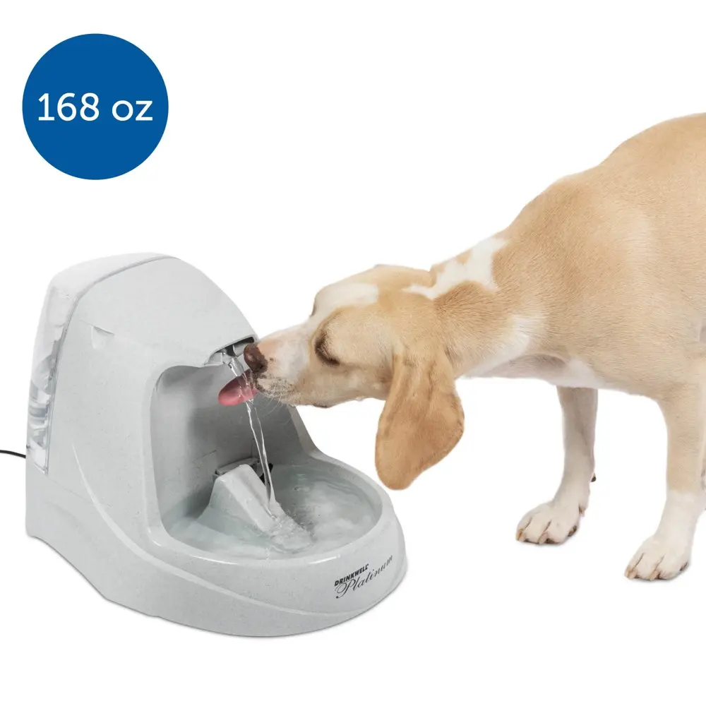 

Drinkwell Platinum Pet Water Fountain for Cats and Dogs, 168 oz
