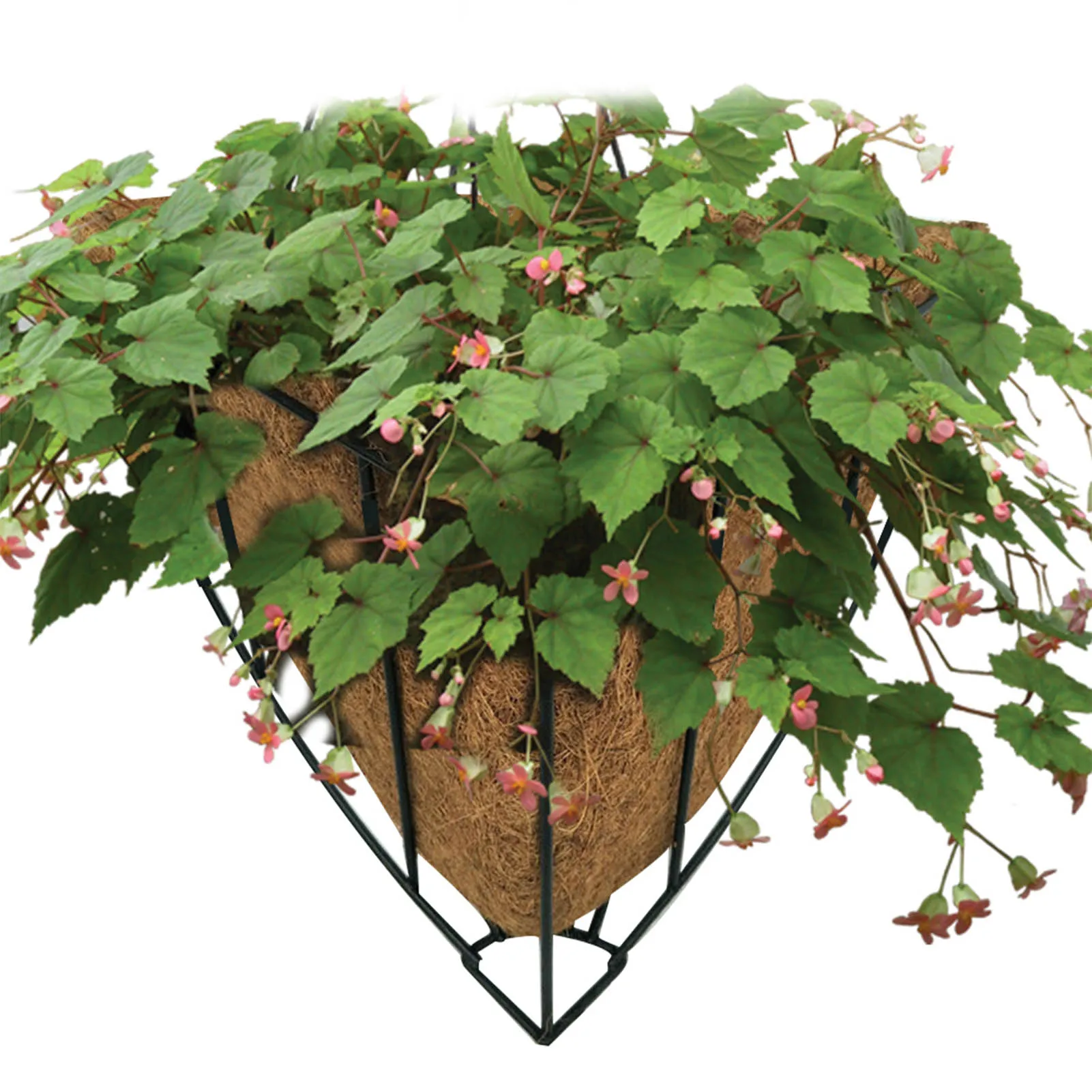 Metal Flower Pot Basket Quarter Designed Innovative Coconut Palm Plant Holder Retro Style Hanger Iron Gondola With Mat For
Metal Flower Pot Basket Quarter Designed Innovative Coconut Palm Plant Holder Retro Style Hanger Iron Gondola With Mat For