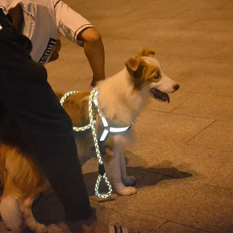 Night Out Luminous Harness Leash Set Dog Reflective Harness Leash Set Braided Traction Round Rope Large Medium Small Puppy Chain
Night Out Luminous Harness Leash Set Dog Reflective Harness Leash Set Braided Traction Round Rope Large Medium Small Puppy Chain