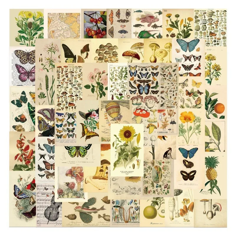 50 Pcs/Set Vintage Aesthetic Botanical Deco Stickers, Flowers Fruits Butterflies Waterproof Sticker for Scrapbooking, Planners
50 Pcs/Set Vintage Aesthetic Botanical Deco Stickers, Flowers Fruits Butterflies Waterproof Sticker for Scrapbooking, Planners