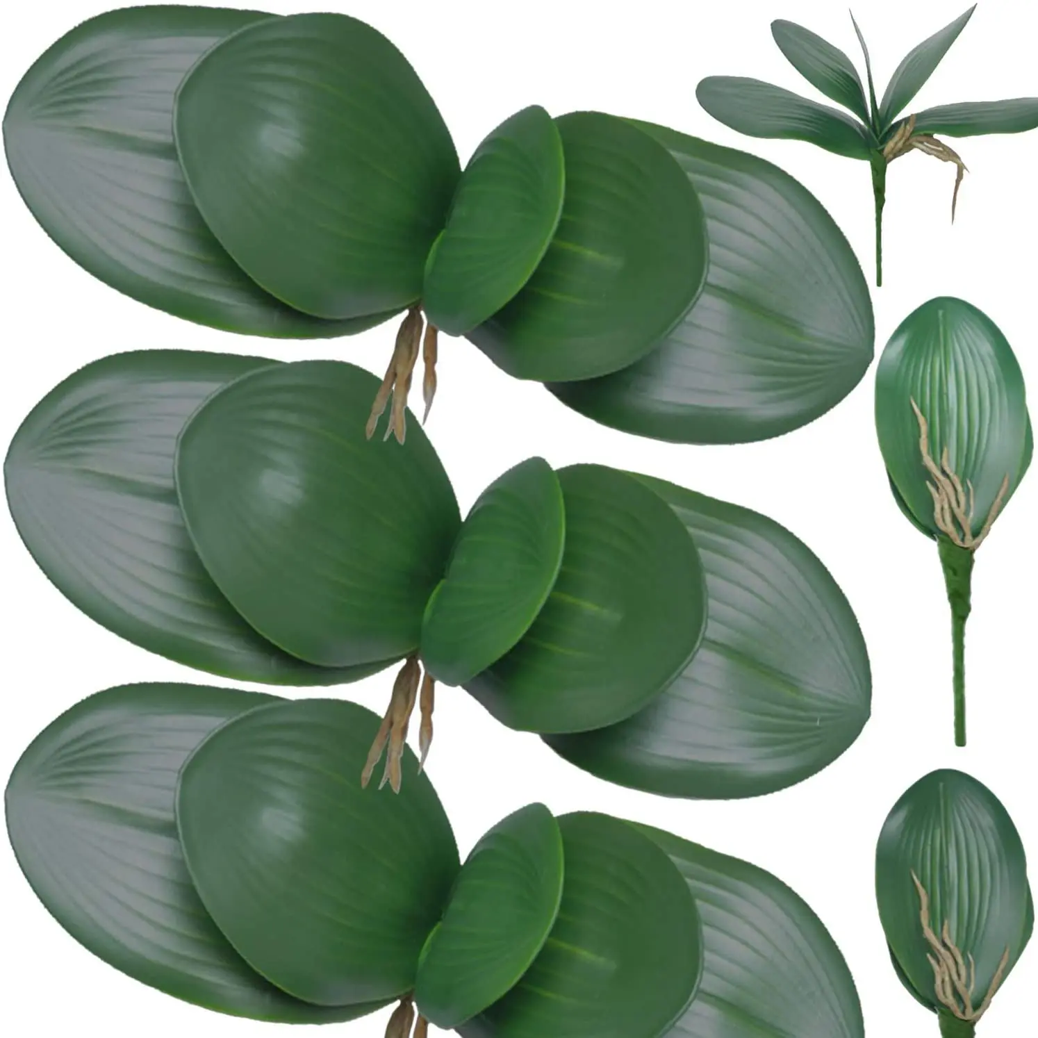 6/8/10 PCS Artificial Phalaenopsis Orchids Leaves 11 inches Green Faux Orchids Leaf
6/8/10 PCS Artificial Phalaenopsis Orchids Leaves 11 inches Green Faux Orchids Leaf