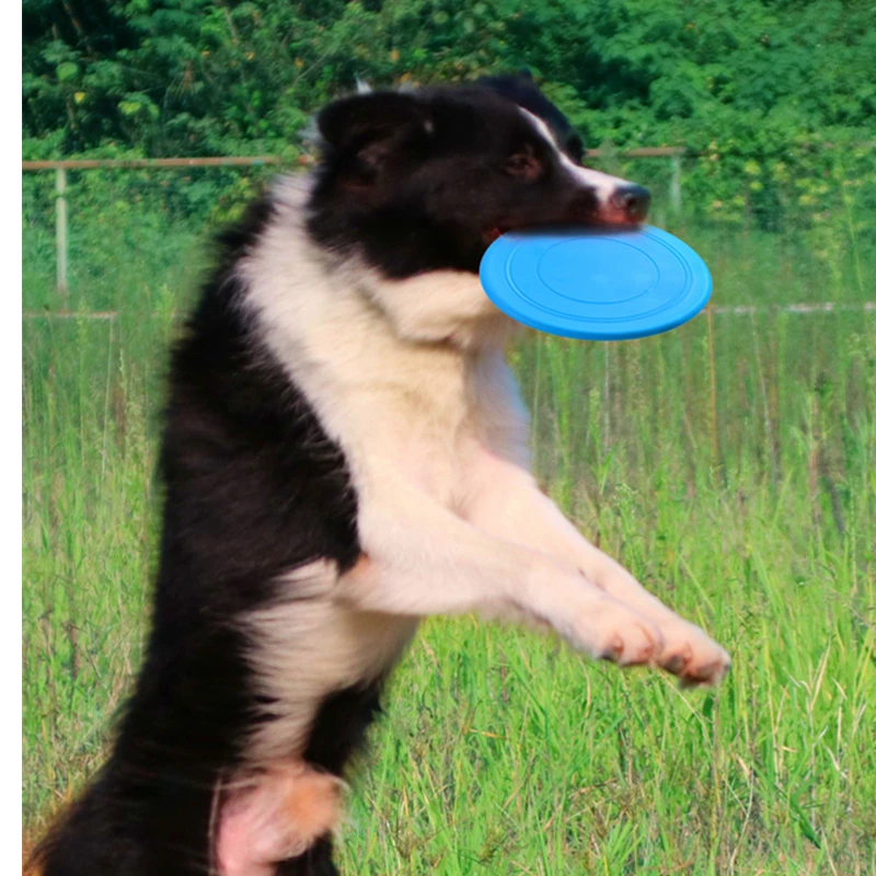 Soft Non-Slip Dog Flying Disc Silicone Game Frisbeed Anti-Chew Dog Toy Pet Puppy Training Interactive Dog Supplies Pet Toys
Soft Non-Slip Dog Flying Disc Silicone Game Frisbeed Anti-Chew Dog Toy Pet Puppy Training Interactive Dog Supplies Pet Toys