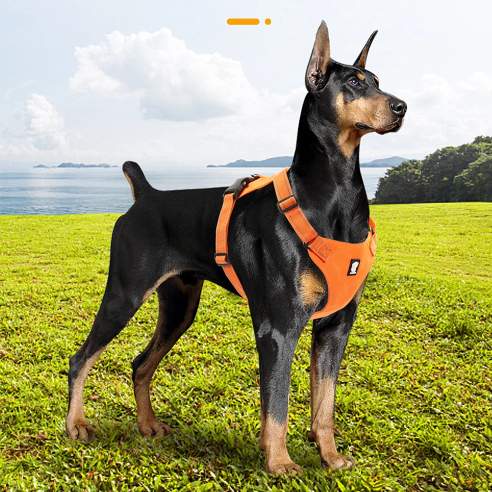 New Outdoor Adjustable Pet Harness for Dog Reflective Light Breathable Dog Vest For Medium Large Dogs Pet Supplies
New Outdoor Adjustable Pet Harness for Dog Reflective Light Breathable Dog Vest For Medium Large Dogs Pet Supplies