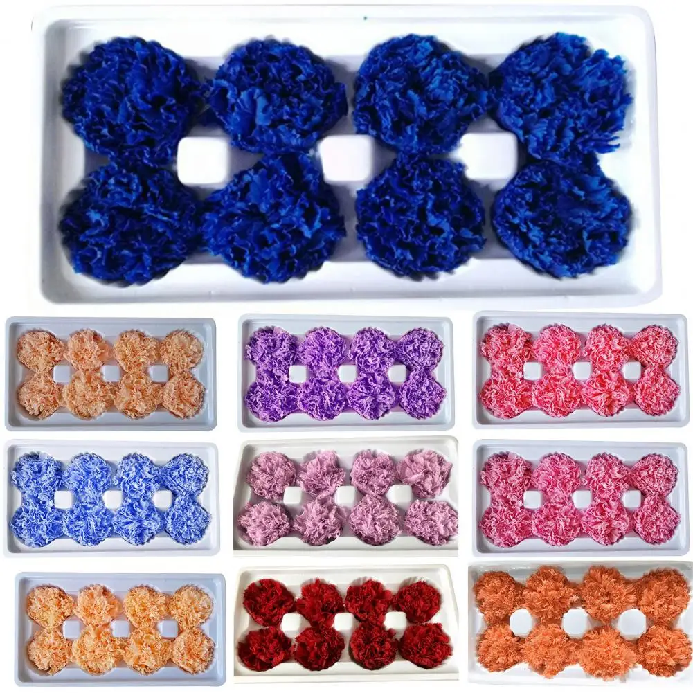 8 шт./коробка, сушеные цветы
8 шт./коробка, сушеные цветы