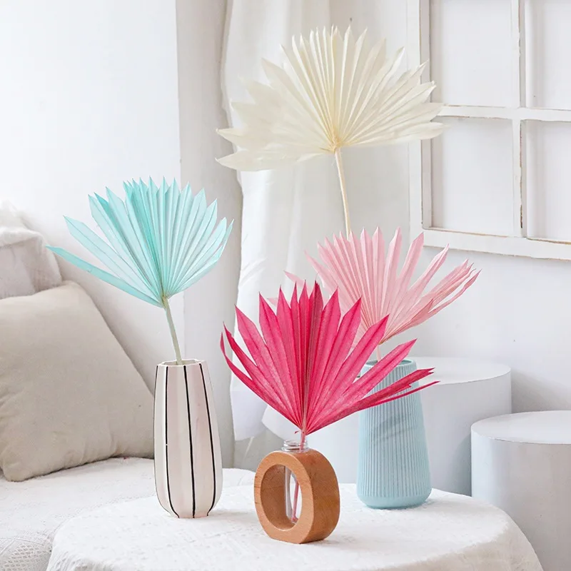 Natural Pufan Dried Flower Home Decoration Small Fan Sunflower Leaf Palm Leaf Dried Flower DIY Dried Flower Material
Natural Pufan Dried Flower Home Decoration Small Fan Sunflower Leaf Palm Leaf Dried Flower DIY Dried Flower Material