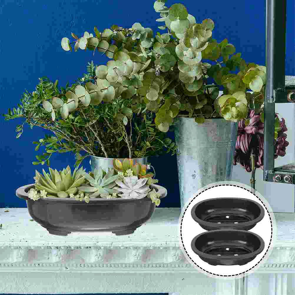 

2 Pcs Succulent Plants Flower Planting Holder Plastic Reusable Planter Orchid Pots Flowerpot Nursery Pp Office Botanical Decor