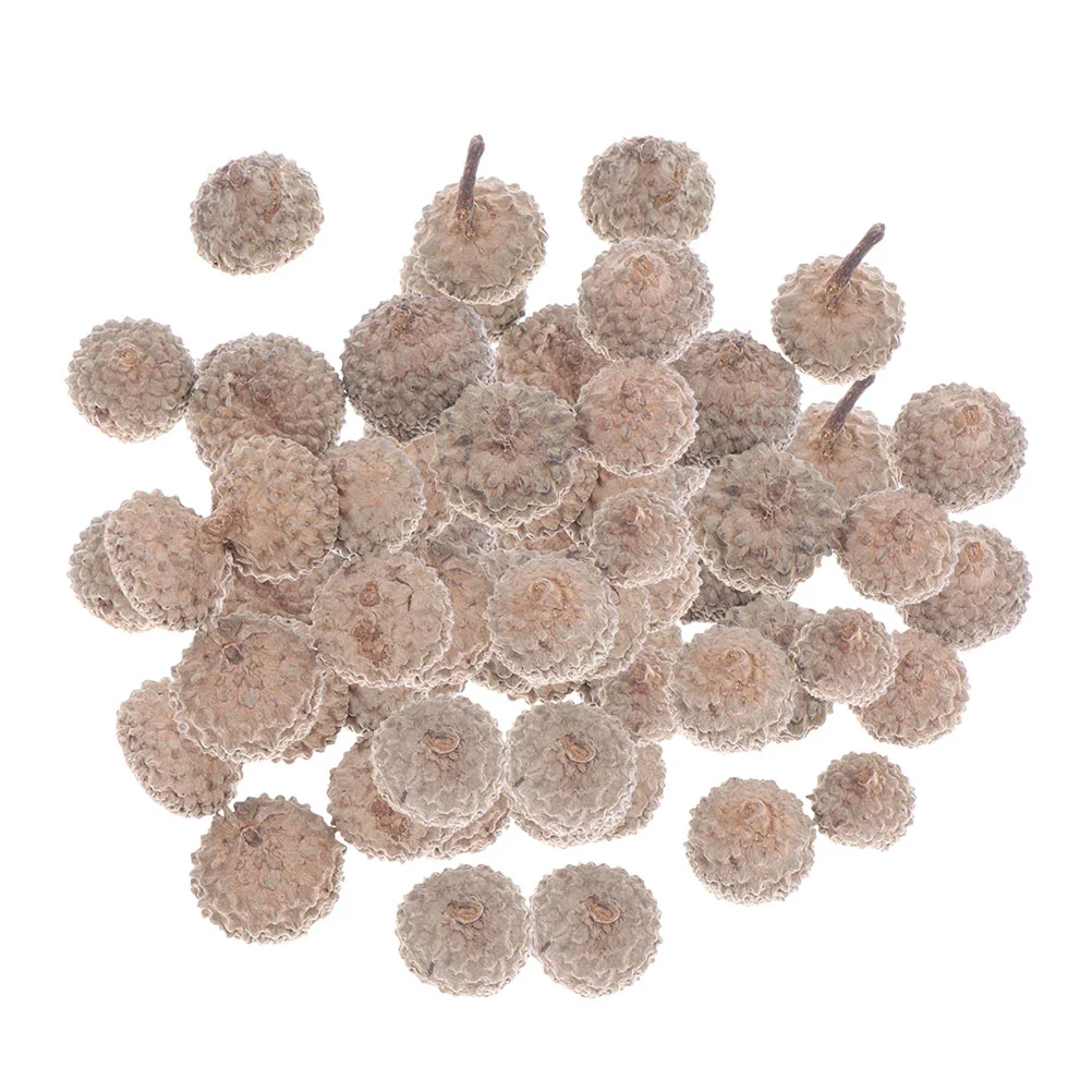 Acorn Ornaments Christmas Decorations Natural Caps Tree Artificial Acorns Ornamentfruit Craft Mini Thanksgiving Vase Pine Filler
Acorn Ornaments Christmas Decorations Natural Caps Tree Artificial Acorns Ornamentfruit Craft Mini Thanksgiving Vase Pine Filler