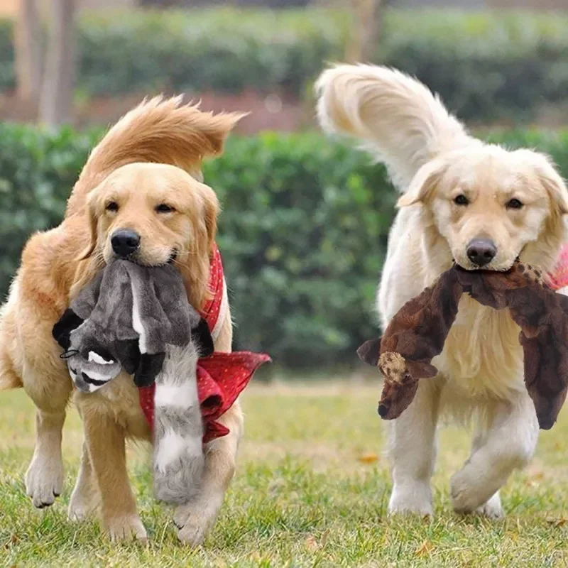 NEW Large Dog Toys For Dogs Tooth Cleaning Giant Dog Toys For Large Dogs Chew Toys Cute Wolf Toys Stuffed Squeaking Animals Sque
NEW Large Dog Toys For Dogs Tooth Cleaning Giant Dog Toys For Large Dogs Chew Toys Cute Wolf Toys Stuffed Squeaking Animals Sque